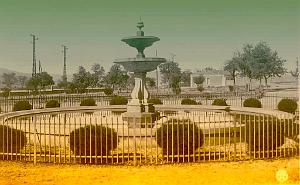 SAIDA 532  SQUARE CARNOT